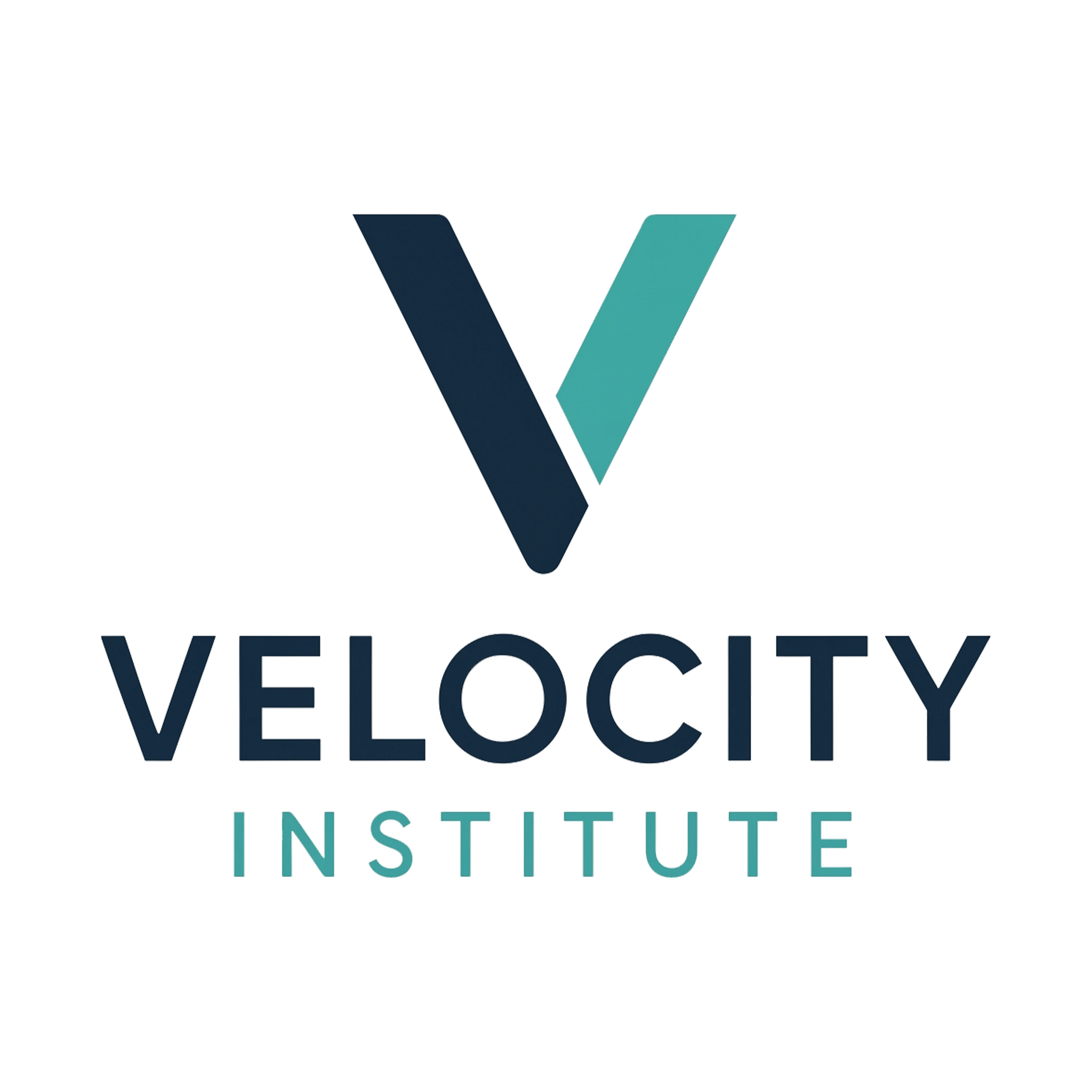 Velocity Institute logo